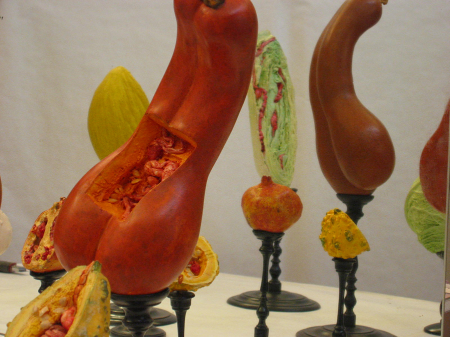 museo-di-storia-innaturale-sala-viii-botanica-organica-01-900