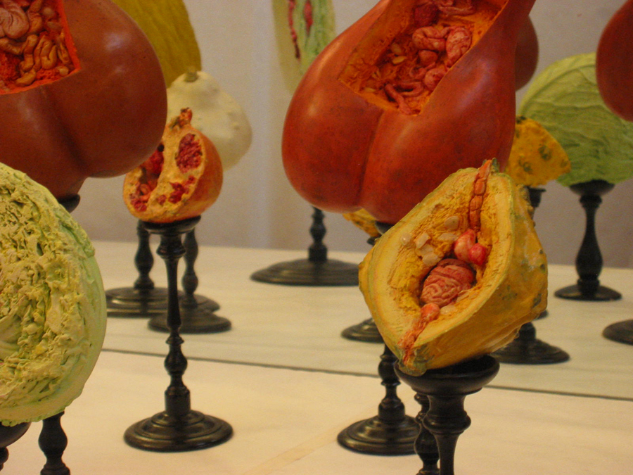 museo-di-storia-innaturale-sala-viii-botanica-organica-02-900