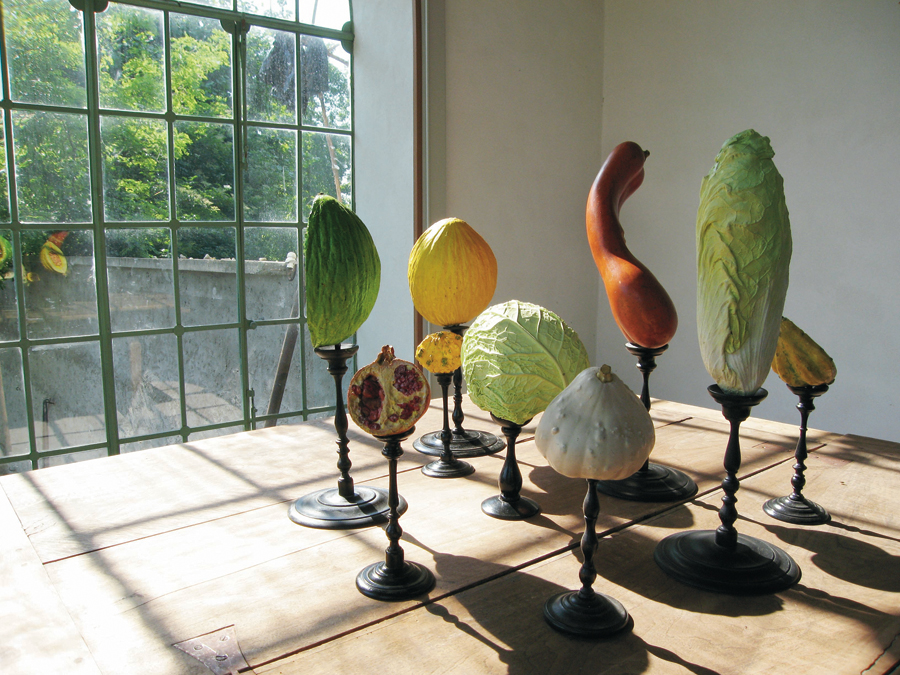 museo-di-storia-innaturale-sala-viii-botanica-organica-03-900