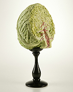 Brassica Carnibus Vescens