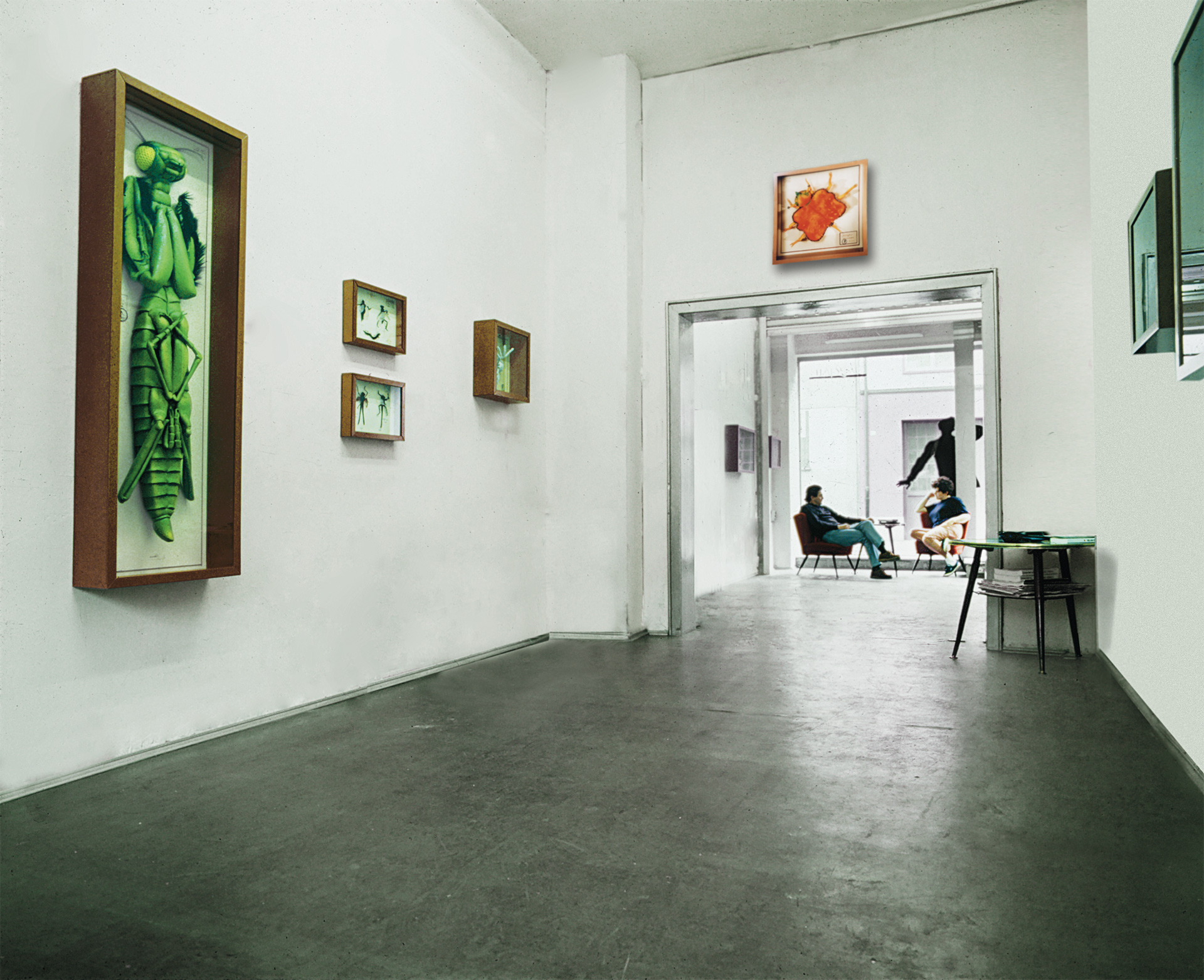 museo-di-storia-innaturale-sala-iv-entomologia-01-galleria-1920